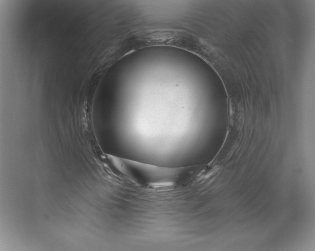 X0000073461394200608111458