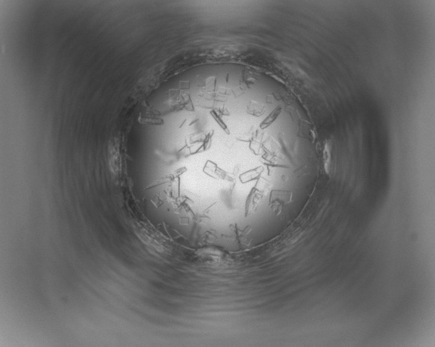 X0000073461395200608111458