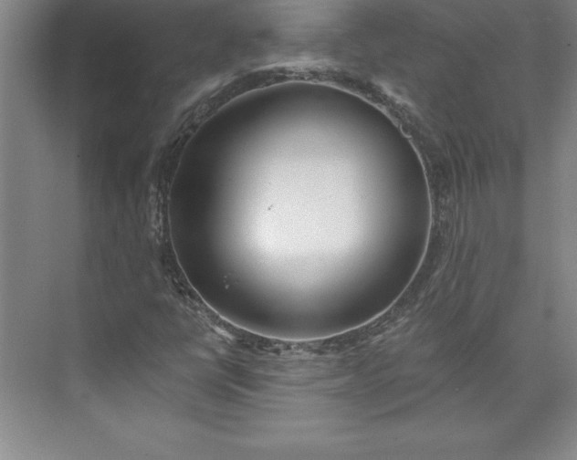 X0000073461398200608111458