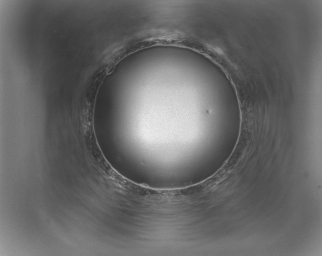 X0000073461399200608111458