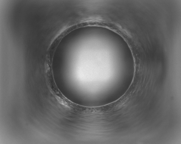 X0000073461400200608111458