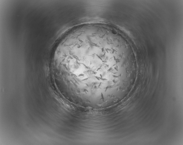 X0000073461407200608111458