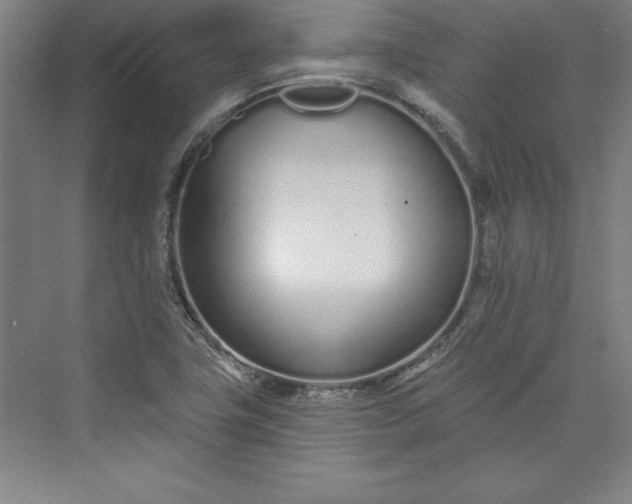 X0000073461411200608111458