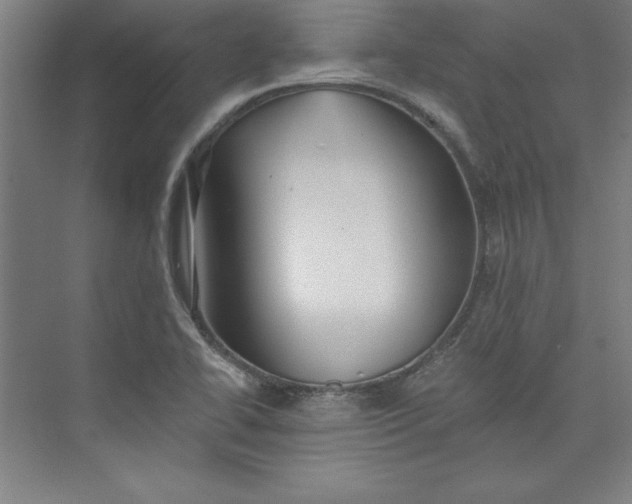 X0000073461414200608111458