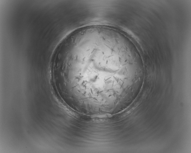 X0000073461415200608111458