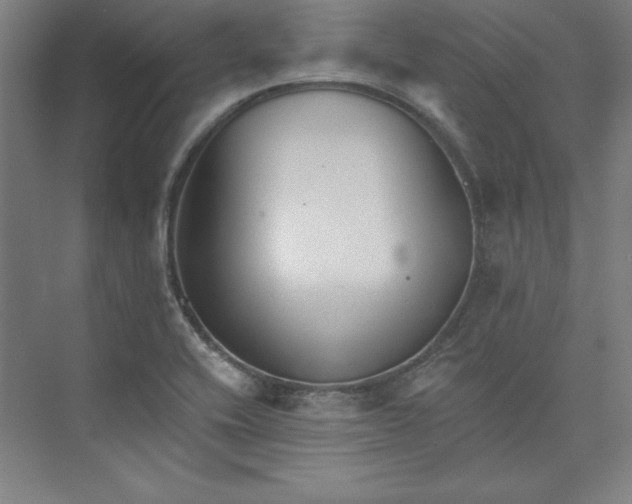 X0000073461416200608111458