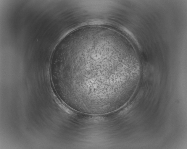 X0000073461417200608111458