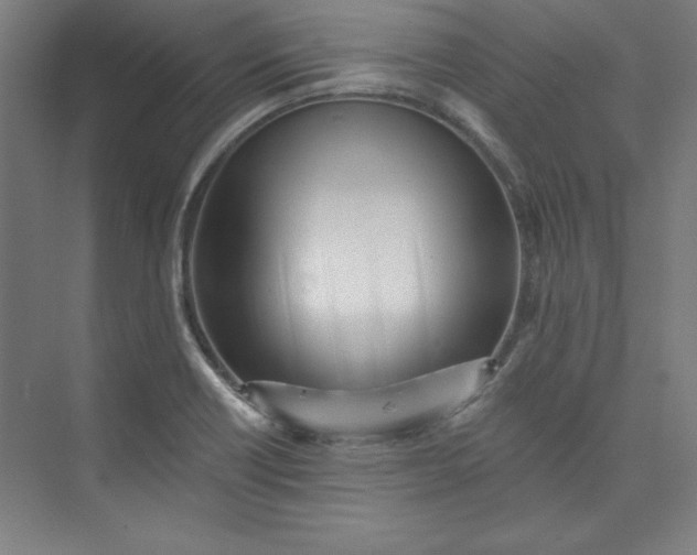 X0000073461418200608111458