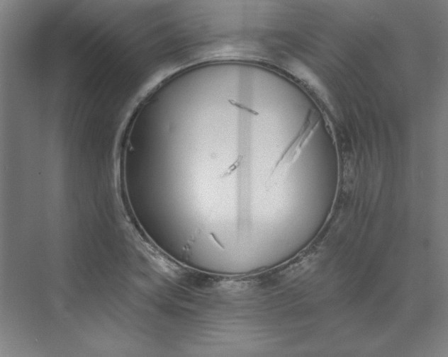 X0000073461419200608111458