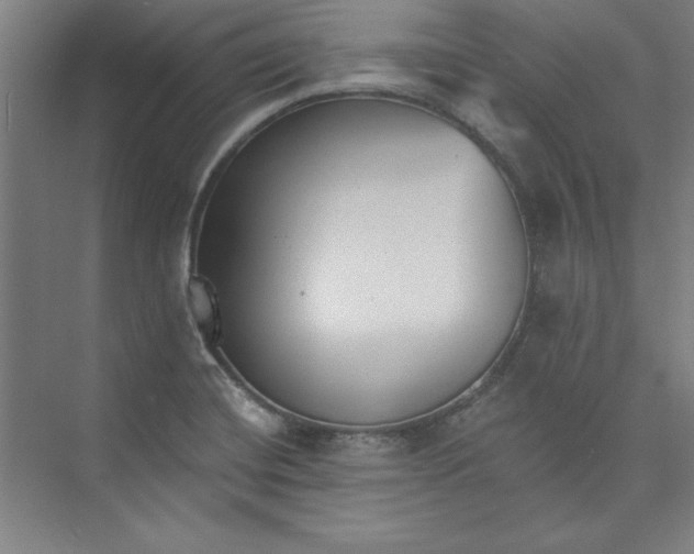 X0000073461420200608111458