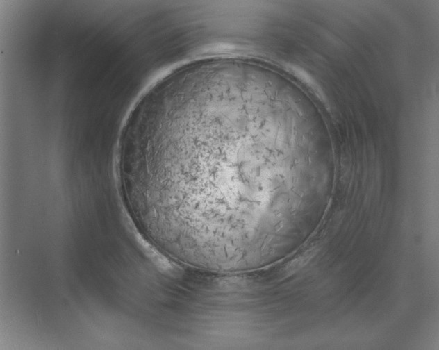 X0000073461421200608111458