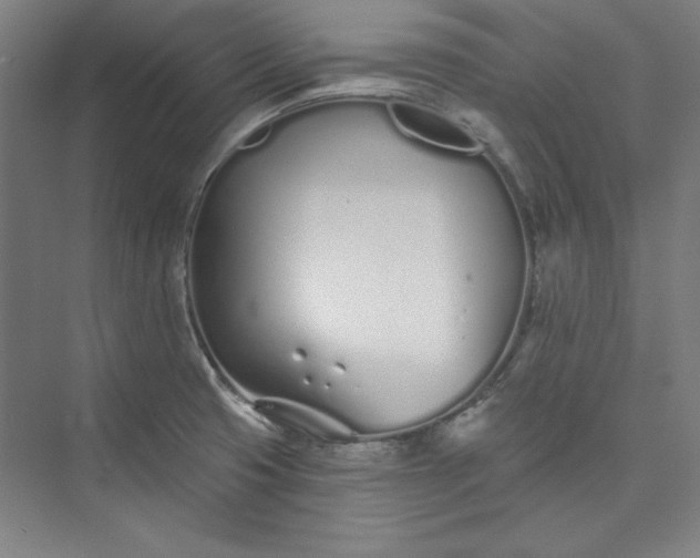 X0000073461425200608111458