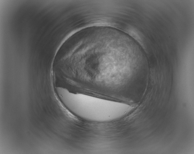 X0000073461428200608111458