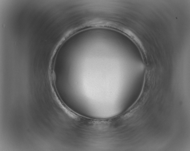 X0000073461429200608111458