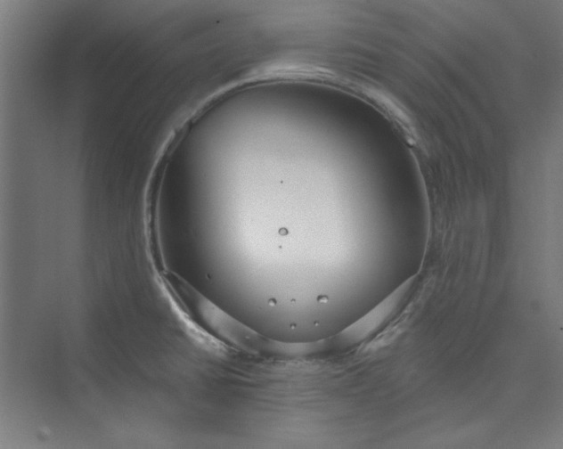 X0000073461430200608111458