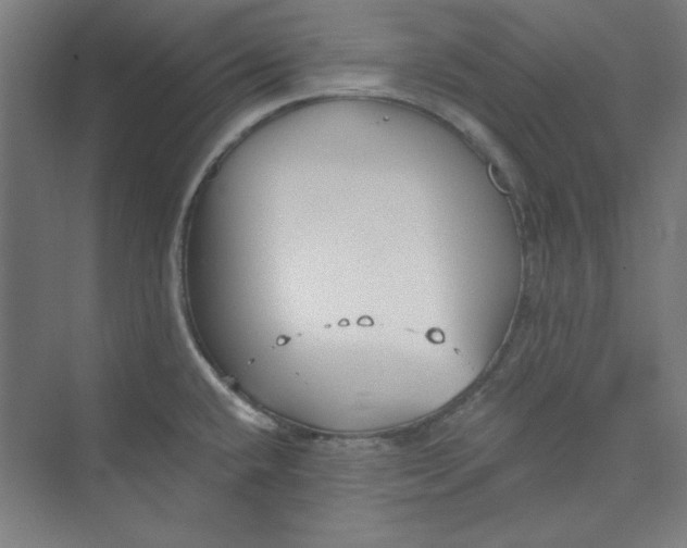 X0000073461432200608111458