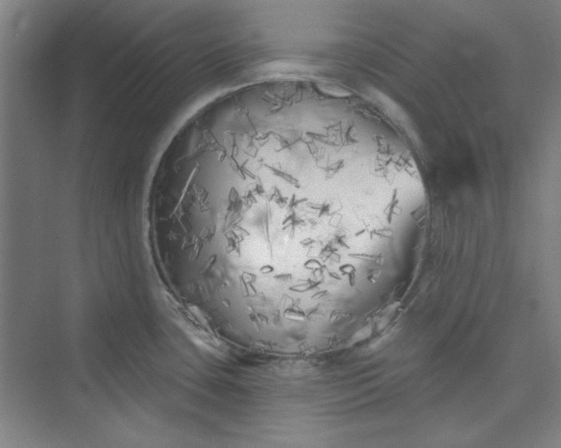 X0000073461435200608111458