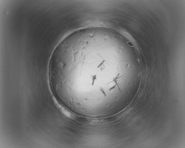 X0000073461439200608111458