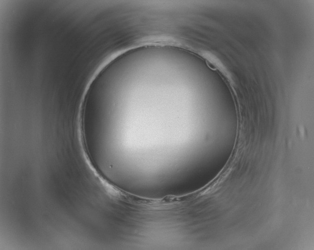 X0000073461440200608111458