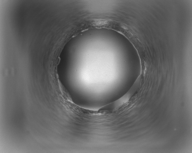 X0000073461441200608111458