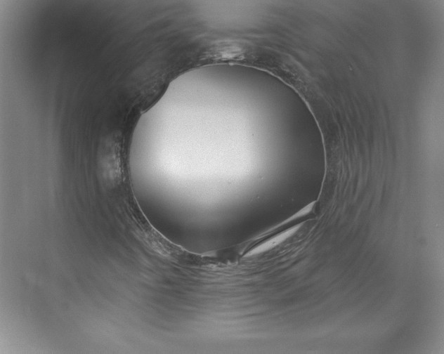 X0000073461442200608111458