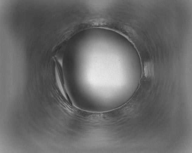 X0000073461444200608111458