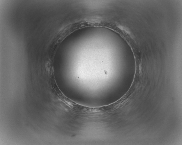 X0000073461445200608111458