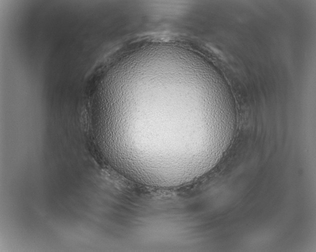 X0000073461446200608111458