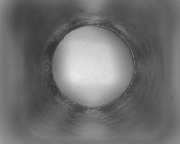 X0000073461447200608111458