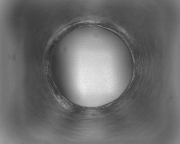 X0000073461448200608111458