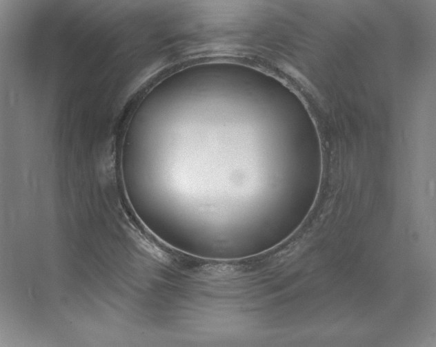 X0000073461450200608111458