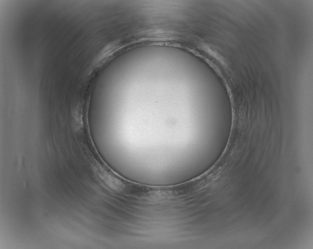 X0000073461451200608111458