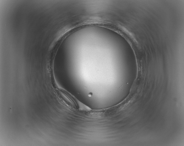 X0000073461453200608111457