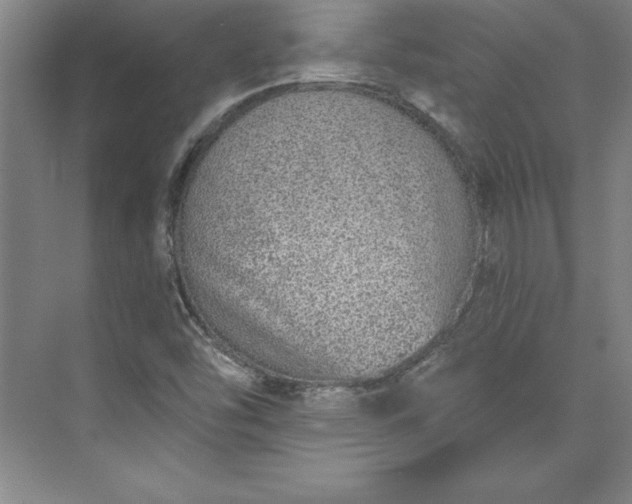 X0000073461454200608111457