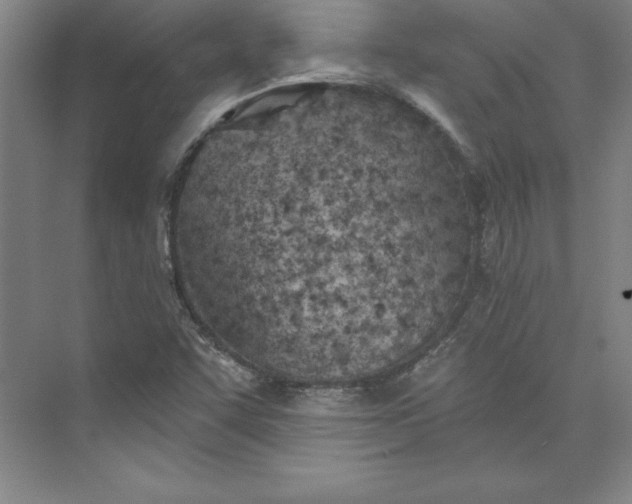 X0000073461455200608111457