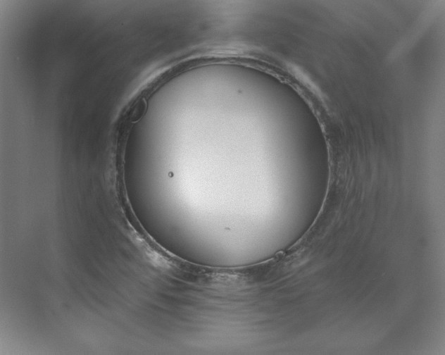 X0000073461456200608111457