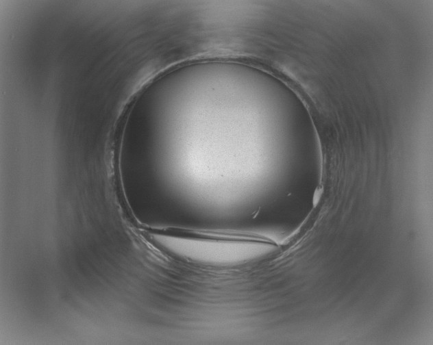 X0000073461459200608111457