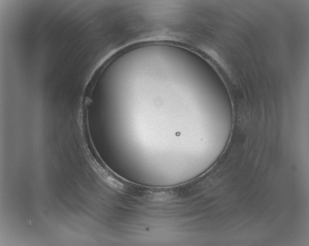 X0000073461460200608111457