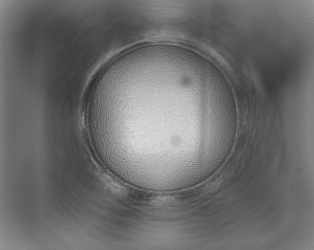 X0000073461462200608111457