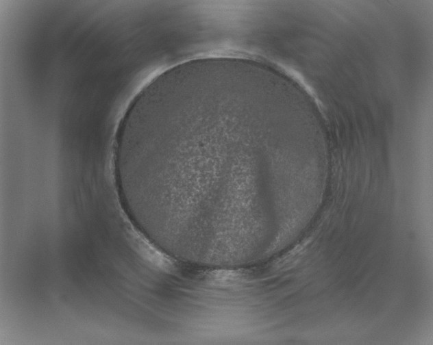 X0000073461463200608111457