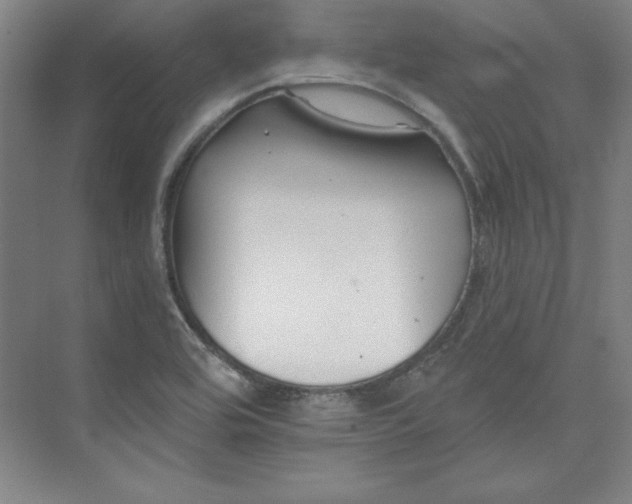 X0000073461464200608111457