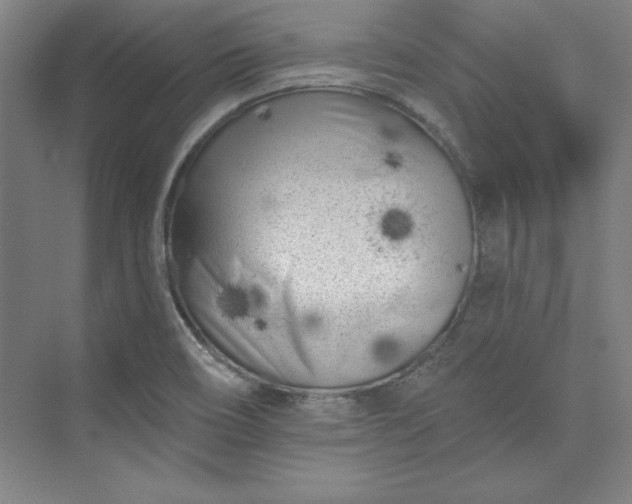 X0000073461466200608111457