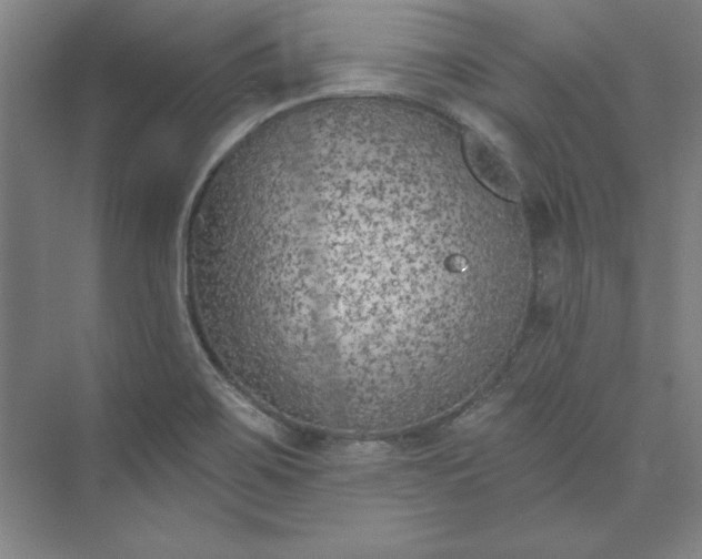 X0000073461467200608111457