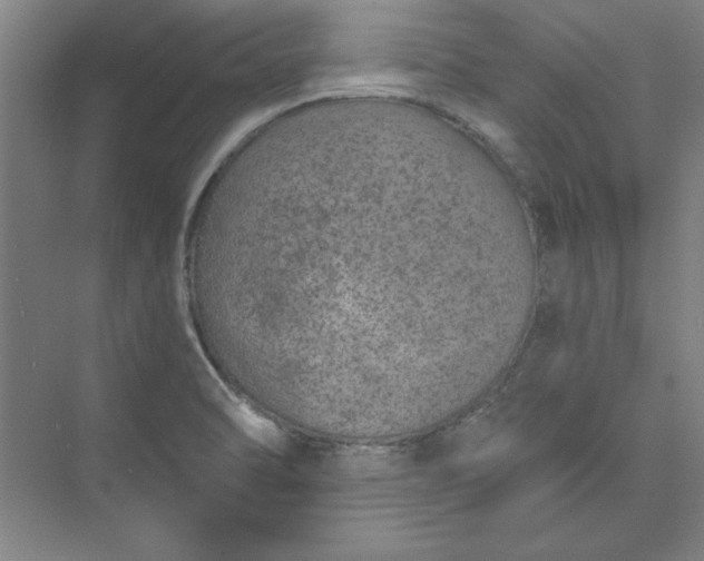 X0000073461470200608111457