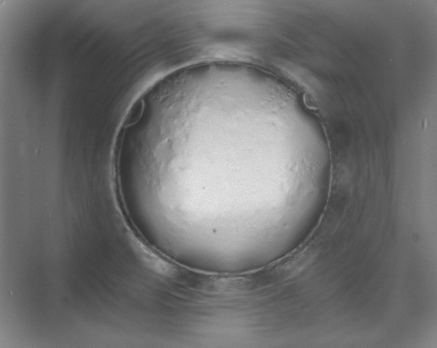 X0000073461471200608111457