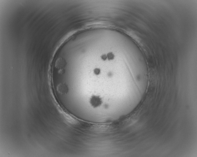 X0000073461474200608111457