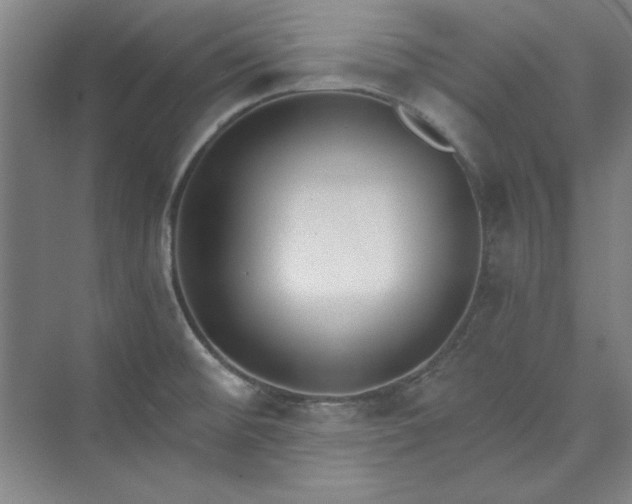 X0000073461476200608111457