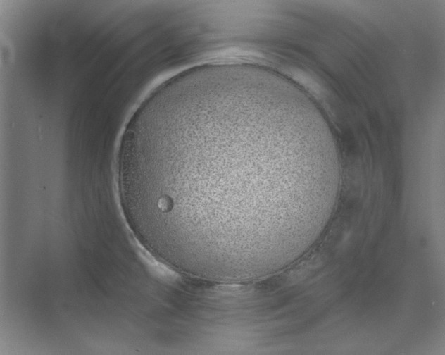 X0000073461478200608111457