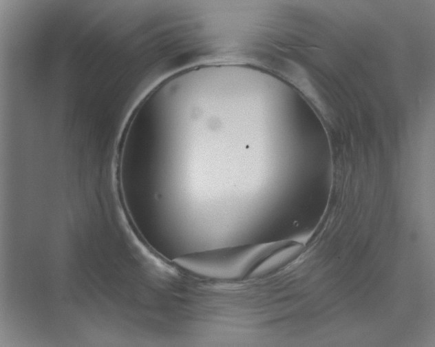 X0000073461484200608111457