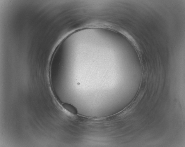 X0000073461486200608111457